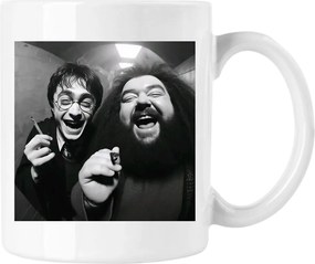 Harry vicces mémes bögre 2 fehér 330ml