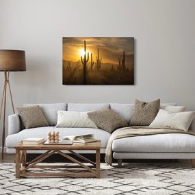 Kép - Saguaro kaktuszok (90x60 cm)