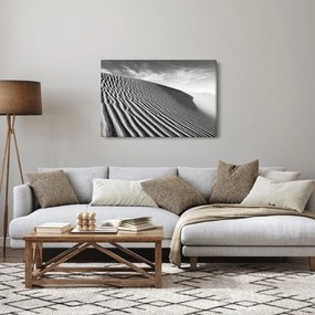 Kép - Homokdűne (90x60 cm)