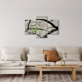 Kép - Repedések (90x60 cm)