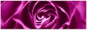 Poszterek 200x66 Lila rózsa Makrofotó
