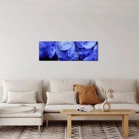 Kép - Medúza (órával) (90x30 cm)