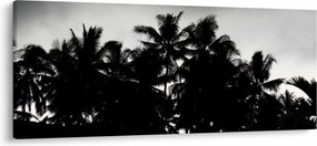 A fekete-fehér pálmafák képe (120x50 cm)