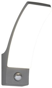 LED fali kültéri lámpa (magasság 22,5 cm) Beja – Trio