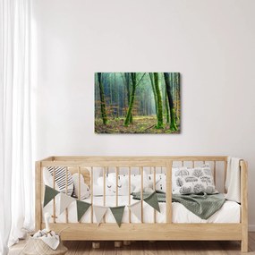Az erdő képe (70x50 cm)