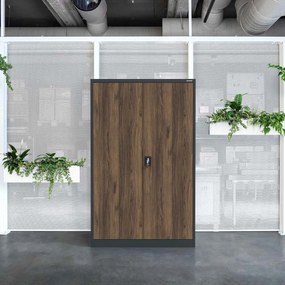 Fém irodai iratszekrény JAN II, Eco Design: antracit/dió