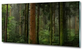Üvegfotó Köd az erdőben osh-95353064