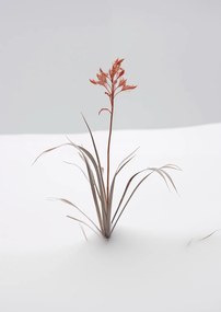 Poszter 59,4x84,1cm A természet finomsága