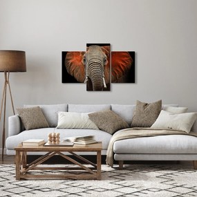 Kép - Elefántok Tsavóval (90x60 cm)