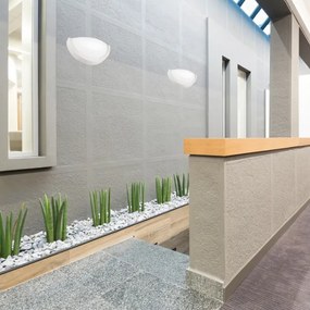 Fali lámpa NATURAL SLIM 1xE27/60W/230V fenyő/fehér