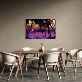 Kép - Fák naplementében (90x60 cm)