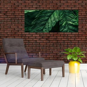 Kép - A lap részletei (120x50 cm)