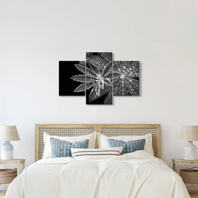 Kép - Cseppek (90x60 cm)