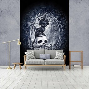 Vinyl fotótapéta 184x254 Állatok Macska a kalapban a koponyán +ragasztó