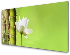 Fali üvegkép Bamboo Stem növény természet 100x50 cm 2 fogas