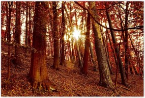 Poszterek 120x80 Tájkép Látvány