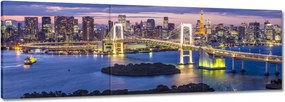 Vászonkép 60x20 Szivárványhíd Tokióban