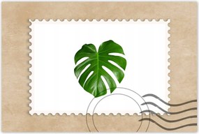 Poszterek 120x80 Monstera Lyukas levelek