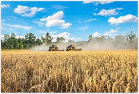 Poszterek 120x80 Két fűnyíró kombájn