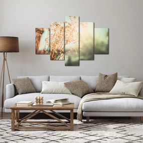 Kép - Növények eső után (150x105 cm)