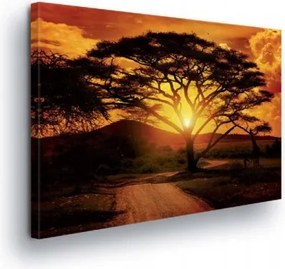 Vászonkép 100x75 Tájkép Afrikai naplemente akác sziluett nyugalom