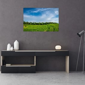 Rét képe (90x60 cm)
