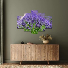 Kép - levandula (150x105 cm)
