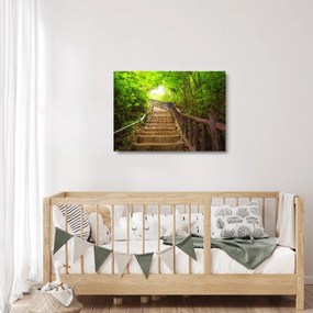 Üveg kép - Lépcsők a természetben (70x50 cm)