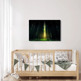 Sötét erdő képe (90x60 cm)