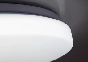 Rabalux 71443 - LED Dimmelhető mennyezeti lámpa DANNY 2 LED/60W/230V 3000-6500K átm. 58 cm + távirányító