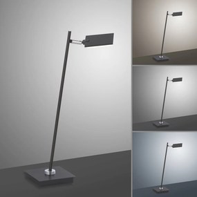 Paul Neuhaus modern asztali lámpa pure-mira antracit pln4356-18