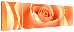 Kép - narancs, roses (170x50cm)