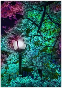 Poszterek 70x100 Ăjszakai motĂvum a konyhĂĄba