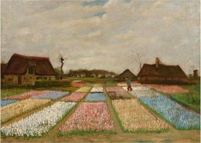 Üveg kép - Vincent van Gogh, Flower Beds in Holland, reprodukciók (70x50 cm)