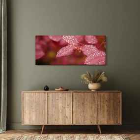 Kép - A jegy makroképe (120x50 cm)