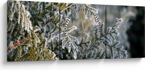 Kép - Ág részlet (órával) (90x30 cm)