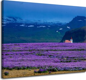 Vászonkép Természet Levendula mező Virágok 100x80