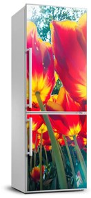 Hűtő matrica Tulipán FridgeStick-70x190-f-113693972