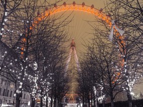 Poszter 40x30cm London Eye éjszaka fákkal, Assaf Frank