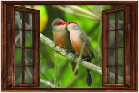 Poszterek 90x60 Madarak