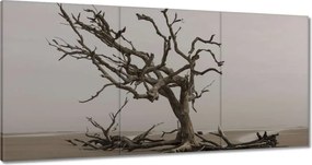 Festmények 180x90 Fa Fák Kilátás