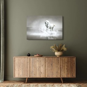 Kép - Fehér ló (90x60 cm)