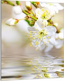 Üveg Vágódeszka 40x52 Szilva a Konyhába