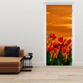 Fotótapéta ajtóra - Virágzó mező tulipánokkal (95x205cm)