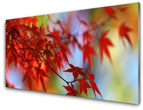 Akrilüveg fotó levelek Természet 100x50 cm