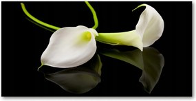 Fotó vászonkép edzett üveg Kália 140x70