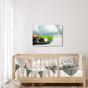 Kép - Spa and relax (70x50 cm)