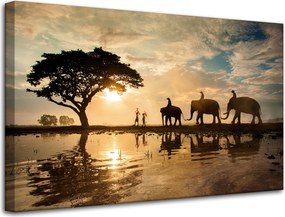 Vászonkép Emberek az elefántokon Naplemente Afrika Szavanna 80x50 cm