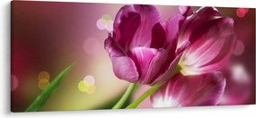 Rózsaszín tulipánok képe (120x50 cm)