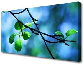 Canvas kép Branch elhagyja Plant 100x50 cm